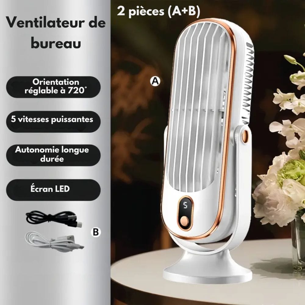 Ventilatore Portatile per Raffreddamento